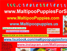 Tablet Screenshot of maltipoopuppies.us